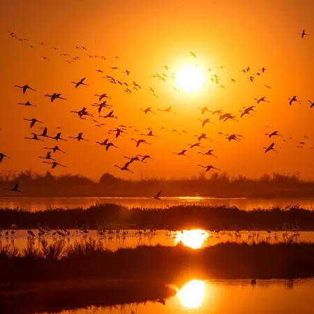 Coast House - Host Solution לידו די ג'סולו