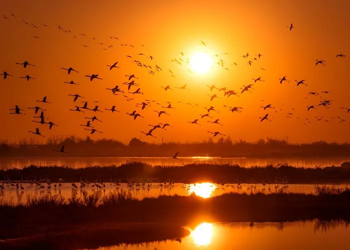 Coast House - Host Solution לידו די ג'סולו